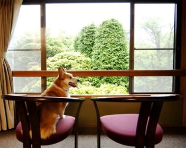 仙石高原大箱根一の湯 21年最新の料金比較 口コミ 宿泊予約 トラベルブック Travelbook