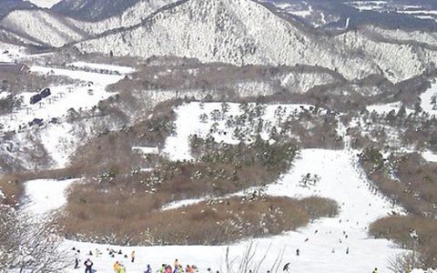 チロル 白樺 21年最新の料金比較 口コミ 宿泊予約 トラベルブック Travelbook チロル 白樺 21年最新の料金比較 口コミ 宿泊予約 トラベルブック Travelbook