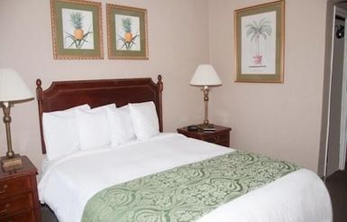 ランウェイ イン マイアミ