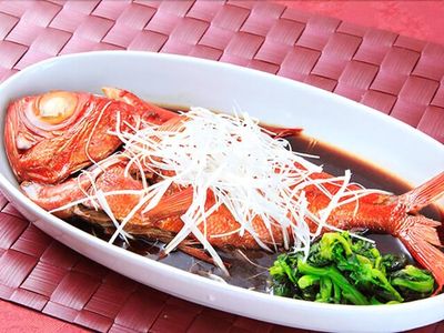 犬御殿 箱根仙石原温泉 森のあかり 21年最新の料金比較 口コミ 宿泊予約 トラベルブック Travelbook