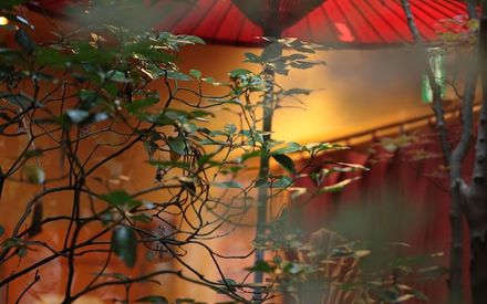 由布院温泉 旅館 めばえ荘 22年最新の料金比較 口コミ 宿泊予約 トラベルブック Travelbook 由布院温泉 旅館 めばえ荘 22年最新の料金比較 口コミ 宿泊予約 トラベルブック Travelbook