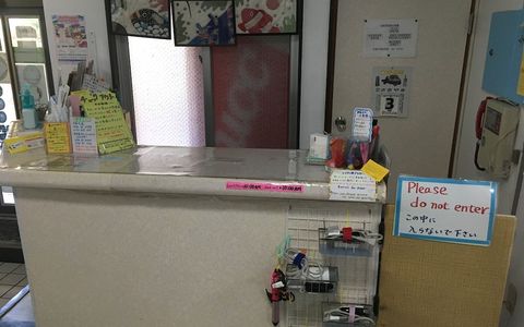 ペンションニュー浜乃荘 石垣島 21年最新の料金比較 口コミ 宿泊予約 トラベルブック Travelbook ペンションニュー浜乃荘 石垣島 21年最新の料金比較 口コミ 宿泊予約 トラベルブック Travelbook