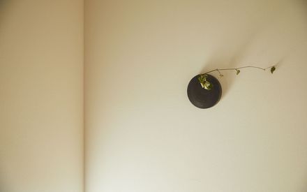 地の食材と四季の味 七沢温泉 盛楽苑 22年最新の料金比較 口コミ 宿泊予約 トラベルブック Travelbook 地の食材と四季の味 七沢温泉 盛楽苑 22年最新の料金比較 口コミ 宿泊予約 トラベルブック Travelbook