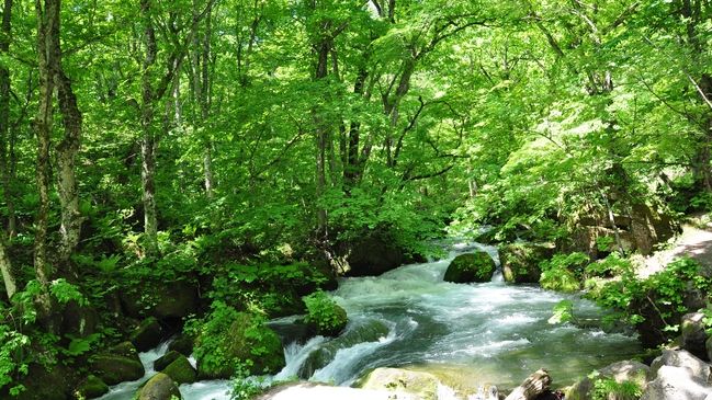 十和田湖畔温泉 十和田湖山荘 22年最新の料金比較 口コミ 宿泊予約 トラベルブック Travelbook