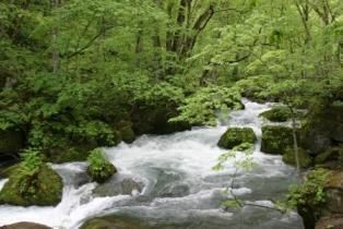 十和田湖畔温泉 十和田湖山荘 22年最新の料金比較 口コミ 宿泊予約 トラベルブック Travelbook