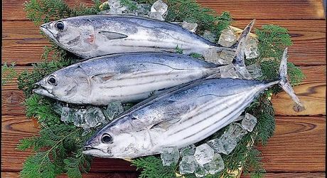 茨城 大洗で宿泊したいおすすめホテル10選 ランキング上位のホテルを比較 おすすめ旅行を探すならトラベルブック Travelbook 茨城 大洗で宿泊したいおすすめホテル10選 ランキング上位のホテルを比較 おすすめ旅行を探すならトラベルブック Travelbook