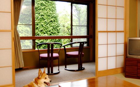 仙石高原大箱根一の湯 21年最新の料金比較 口コミ 宿泊予約 トラベルブック Travelbook 仙石高原大箱根一の湯 21年最新の料金比較 口コミ 宿泊予約 トラベルブック Travelbook