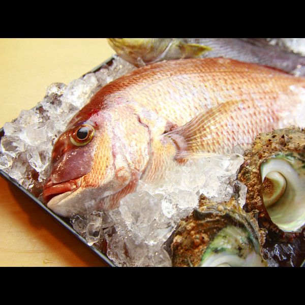 民宿寺下食堂 22年最新の料金比較 口コミ 宿泊予約 トラベルブック Travelbook