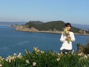 白崎シーサイドハイツ 白崎荘 21年最新の料金比較 口コミ 宿泊予約 トラベルブック Travelbook 白崎シーサイドハイツ 白崎荘 21年最新の料金比較 口コミ 宿泊予約 トラベルブック Travelbook