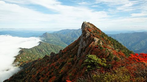 石鎚神社会館 21年最新の料金比較 口コミ 宿泊予約 トラベルブック Travelbook