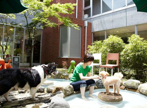 ホテル凛香 箱根強羅リゾート 22年最新の料金比較 口コミ 宿泊予約 トラベルブック Travelbook ホテル凛香 箱根強羅リゾート 22年最新の料金比較 口コミ 宿泊予約 トラベルブック Travelbook