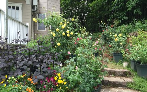 はやま温泉 コージーイン 21年最新の料金比較 口コミ 宿泊予約 トラベルブック Travelbook はやま温泉 コージーイン 21年最新の料金比較 口コミ 宿泊予約 トラベルブック Travelbook