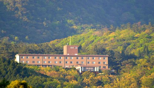 鹿児島 霧島周辺でおすすめのペンション 自然に囲まれながらのんびり滞在 おすすめ旅行を探すならトラベルブック Travelbook