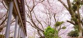 徳島のおすすめうどん10店 人気のお店一覧 おすすめ旅行を探すならトラベルブック Travelbook 徳島のおすすめうどん10店 人気のお店一覧 おすすめ旅行を探すならトラベルブック Travelbook