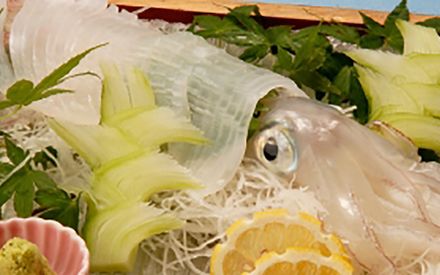 割烹旅館 かねやす 22年最新の料金比較 口コミ 宿泊予約 トラベルブック Travelbook 割烹旅館 かねやす 22年最新の料金比較 口コミ 宿泊予約 トラベルブック Travelbook